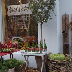 Blumen wild & schön - Advent 2016