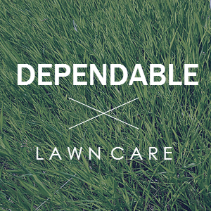 John's Dependable Lawn Care LLC - tree service in San Antonio, TX