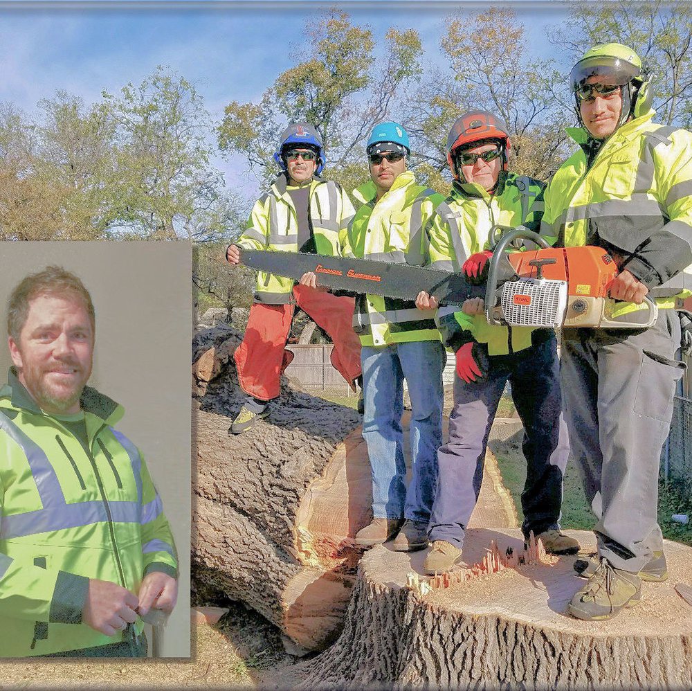 Baker Tree Service - tree service in Irving, TX