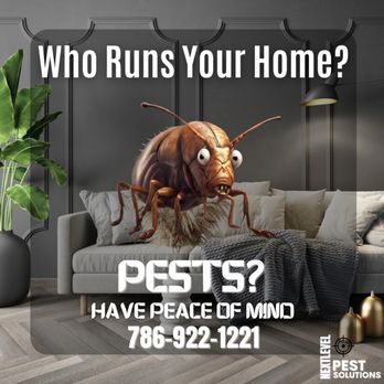 Next Level Pest Solutions - Pest Control Near Me Next Level Pest Solutions - Pest Control Near Me