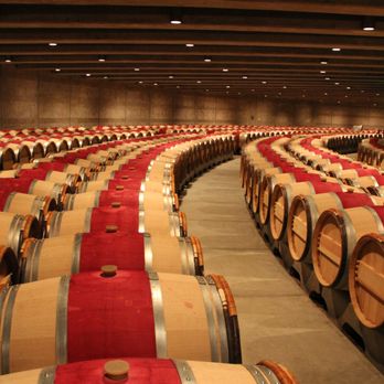 Napa Valley Wine Excursions - Barrel Tour | Wine tour guide Napa, CA - Wine Tours Near Me - St. Helena, California Napa Valley Wine Excursions - Barrel Tour | Wine tour guide Napa, CA - Wine Tours Near Me - St. Helena, California
