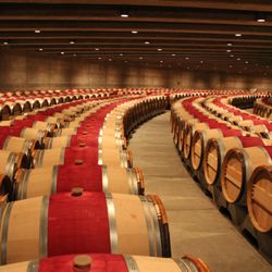 Napa Valley Wine Excursions - Barrel Tour | Wine tour guide Napa, CA