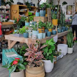 Heights Floral - Lots of pots, planters & houseplants