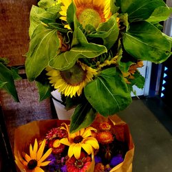 Hemlock Hill Farm - Fresh farm flowers - 7/26/2025