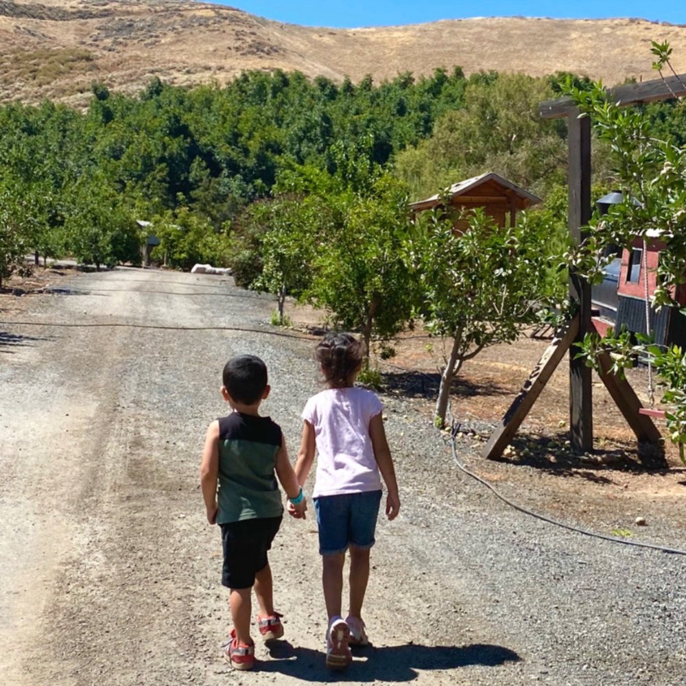 Greenspot Farm - Farmers Market Near Me - Mentone, California
