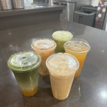 Camellia Rd Tea Bar - Matcha Special Tea, Oolong Milk Tea, Hojicha Milk Tea - Bubble Tea Near Me - San Diego, California