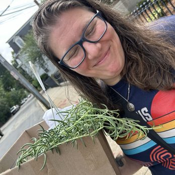 Thea Plant Co - ready to head home with a new planty plant!! - Nurseries & Gardening Near Me - Providence, Rhode Island Thea Plant Co - ready to head home with a new planty plant!! - Nurseries & Gardening Near Me - Providence, Rhode Island