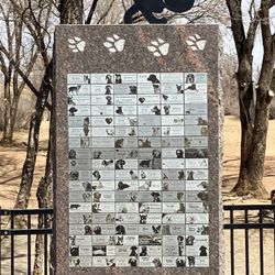 Bear Creek Dog Park