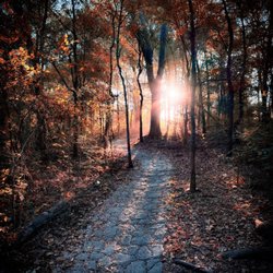 Erwin Park - Great place to get into nature