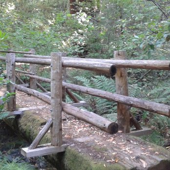 Carson Falls - Hiking Near Me - Bolinas, California
