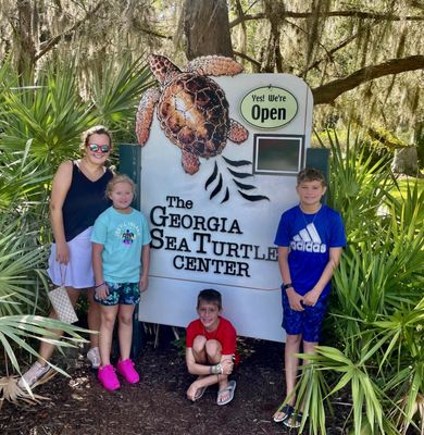 Georgia Sea Turtle Center by null