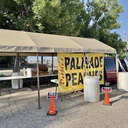 Debbie’s Palisade Peaches