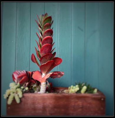 Redondo Beach Pier by null
