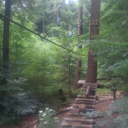 Klimbos Veluwe