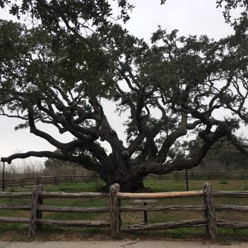 Goose Island State Park - Parks Near Me - Rockport, Texas Goose Island State Park - Parks Near Me - Rockport, Texas
