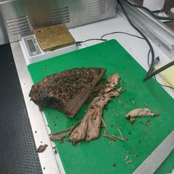 Texas brisket