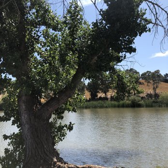 Ed R. Levin County Park - Lake - Dog Parks Near Me - Milpitas, California Ed R. Levin County Park - Lake - Dog Parks Near Me - Milpitas, California