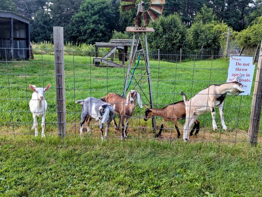 Saint Croix Vineyards by null