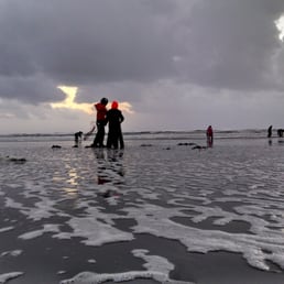 Clam diggers. Cold stormy ... they still were out there. Brave :-) Clam diggers. Cold stormy ... they still were out there. Brave :-)