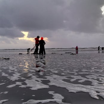 Lighthouse Oceanfront Resort - Clam diggers. Cold stormy ... they still were out there. Brave :-) - Resorts Near Me - Long Beach, Washington Lighthouse Oceanfront Resort - Clam diggers. Cold stormy ... they still were out there. Brave :-) - Resorts Near Me - Long Beach, Washington
