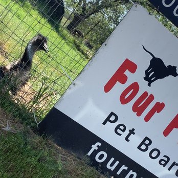 Four Paws Pet Ranch - The westbound entrance facing sign from drive up into Four Paws & Emu #2 (woowoo!!!) - Pet Training Near Me - Santa Rosa, California