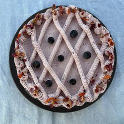 Moon Maiden's Delights - Chocolate cake + blueberry frosting