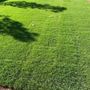 Photo of California Sod Center