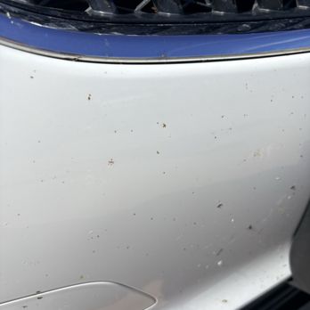 Surf Thru Express Car Wash - More bugs - Car Wash Near Me - Oroville, California Surf Thru Express Car Wash - More bugs - Car Wash Near Me - Oroville, California