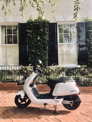 Photo of College Scooters - College Park, MD, US. First trip through Georgetown!