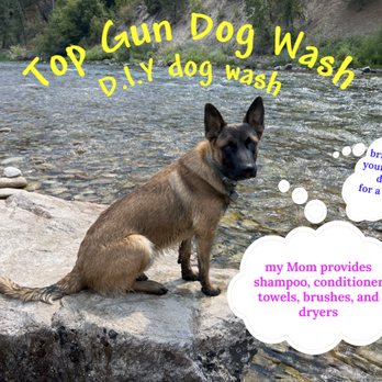 Top Gun Dog Wash - Pet Groomers Near Me - Caldwell, Idaho Top Gun Dog Wash - Pet Groomers Near Me - Caldwell, Idaho