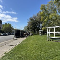 Wickersham Park - Horses at the park!