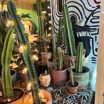 Mumu Mansion - Used, Vintage & Consignment Near Me - Los Angeles, California Mumu Mansion - Used, Vintage & Consignment Near Me - Los Angeles, California
