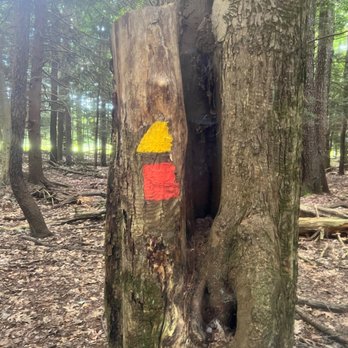 Audubon Community Nature Center - Hiking Near Me - Jamestown, New York