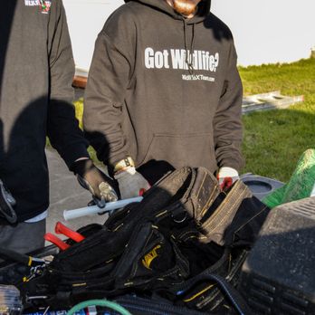 Wildlife X Team - Wildlife Control Near Me Wildlife X Team - Wildlife Control Near Me