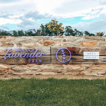Wanaka Lavender Farm - entrance to the farm - Farms Near Me - Wanaka, OTA