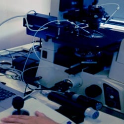 IVF Canada