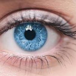 Bright Eyes Optique