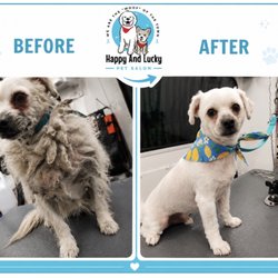 Happy And Lucky Pet Salon And Mobile Grooming