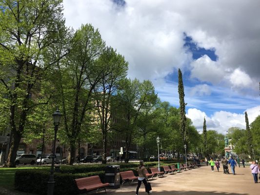 Esplanadi by null