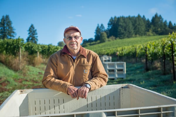 Winter's Hill Estate by null