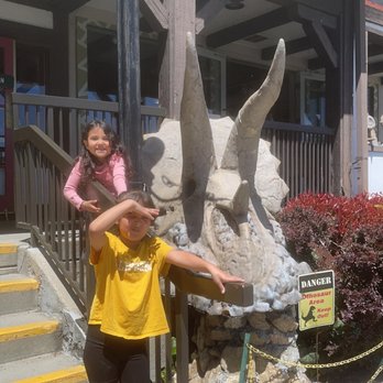 SkyPark Camp + RV Resort - Took a trip to lake arrowhead - RV Parks Near Me - Skyforest, California