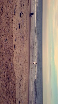 South Shore Beach by null