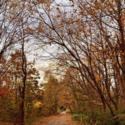 Farmington Canal Heritage Trail