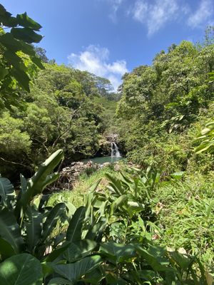 Waikamoi Nature Trailhead and Parking Area by null