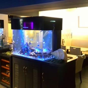 ダイニングバーアクアリウム Dance Clubs 東日暮里5 50 11 荒川区 東京都 Japan Phone Number Yelp