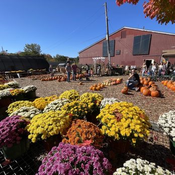 Brooksby Farm - a large display of flowers and pumpkins - Pick Your Own Farms Near Me - Peabody, Massachusetts