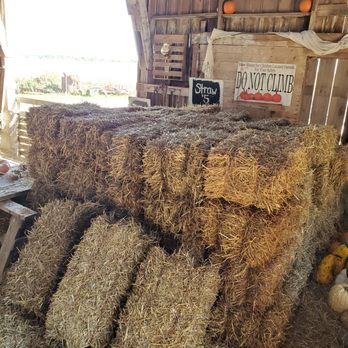 Sugar Grove Pumpkin Farm - a pile of hay - Farmers Market Near Me - Sugar Grove, Illinois Sugar Grove Pumpkin Farm - a pile of hay - Farmers Market Near Me - Sugar Grove, Illinois