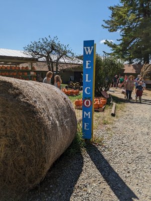 Sky Top Orchard by null