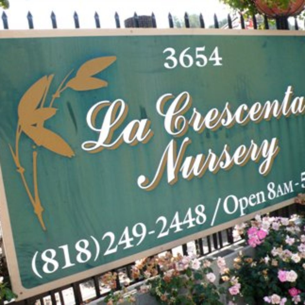 TOP 10 BEST Plant Nursery near Sunland, Los Angeles, CA - Updated 2026 -  Yelp