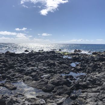 Oahu Nature Tours - Tours Near Me - Honolulu, Hawaii Oahu Nature Tours - Tours Near Me - Honolulu, Hawaii